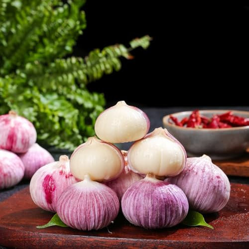 4 pz Piantare aglio, aglio biologico da piantare, piante in vaso resistenti Bulbi d'aglio, aglio vegetale resistente, piantare piante da giardino all'aglio, piantare verdure piante