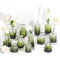 Anquephd Lot de 12 vases en verre vert foncé