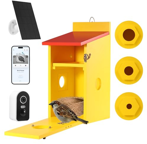 Vogelhaus mit 5MP Kamera Solar, Bunte Nistkasten zum Aufhängen Wetterfest,G | 2,4G WiFi, Bewegungserkennung & App Benachrichtigung, Video/Fotoaufnahme, Nachtsicht, Beobachten des Vogellebens,33x15x20,5cm
