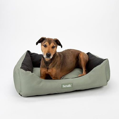 Scruffs Expedition Waterproof Travel Dog Box Bed (M)