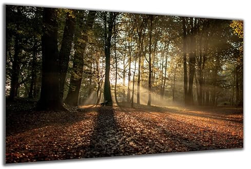 DARO Design - Wand-Bild auf 6mm HDF 40x30 cm Park Herbst Wald Bank - Wand-Deko Bilder Geschenk