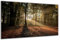 DARO Design - Wand-Bild auf 6mm HDF 40x30 cm Park Herbst Wald Bank - Wand-Deko Bilder Geschenk