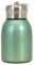 Small Water Bottle 300ML Safe Stainless Steel Small Flask Vacuum Insulated Thermal Cup Leak-Proof Portable Mini with Hook for Indoor Outdoor Green Bottle