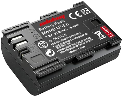 LP-E6 Battery for Canon EOS Camera: R7 5D Mark IV R5 R6 Mark II 90D | 2750mAh 7.2V for Canon Photography Enthusiast