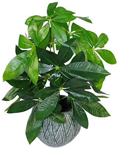 Leaf Design UK Realistic Artificial Foliage Plant with Pot, Green, 50cm