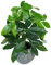 Leaf Design UK Realistic Artificial Foliage Plant with Pot, Green, 50cm