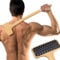 NURENDER Rascador de espalda de madera, rascador curvado extra largo del cuerpo para ancianos