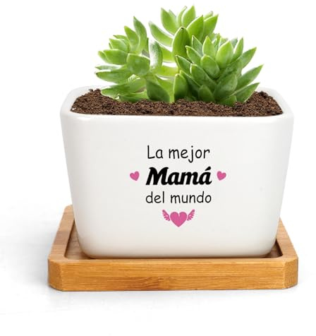 RRIGETEN Regalos Día De La Madre Regalo Mama Regalo Cumpleaños Madre Regalos para Mama Macetas Decorativas Interior San Valentín Navidad Madre