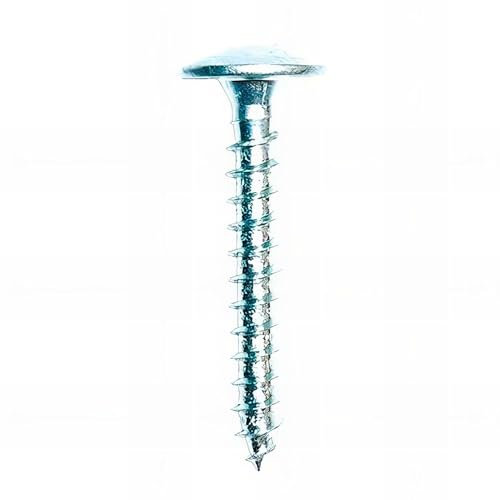 Blister de 50 vis bois penture VPB D. 6,0 x 20 mm x TX30 - Zingué blanc - VPB60020BL - Alsafix