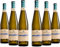 Terre Forti Pignoletto DOC, Frischer und Fruchtiger, Weißer Italienischer Perlwein, 12 % Vol., Karton mit 6 Flaschen mit jeweils 750 ml