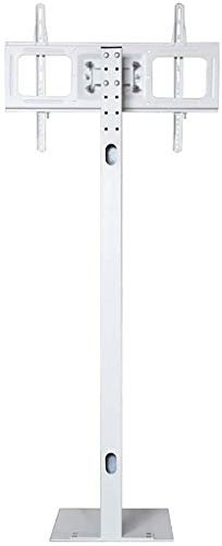 SQMGFA Portable TV Stand Mobile LCD TV Rack Shelf Display Floor Support Rack 32-70 Inch Invisible Support Rack TV Table Stand