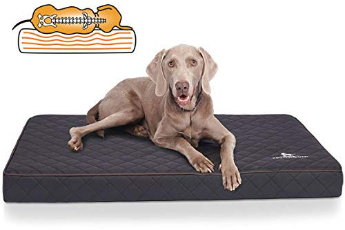 Knuffelwuff Orthopädische Hundematte Juna Hundebett aus laser gestepptem Kunstleder waschbar Hunde ortho orthopädisch memory XXXL 136x84cm Schwarz Übergröße für große Hunde