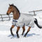 BUCAS OF IRELAND Power Turnout Medium Silber - 145