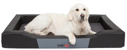 Bjird Hundebett - Hundekorb für kleine mittelgroße & große Hunde - Hundekissen - Hundesofa aus Kunstleder - Bezug abnehmbar und waschbar - Deluxe - Größe: L - Schwarz