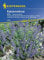 Katzenminze (Nepeta fassenii), Felix blau, Pflegeleichte Staude für Rabatten Bauerngärten zu Rosen mit angenehmen Minzduft, Höhe ca. 50 cm, mehrjährig