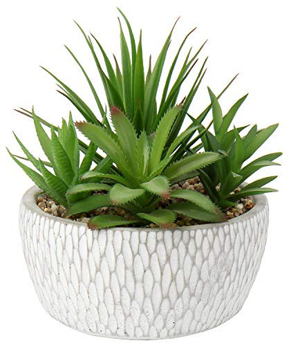 Briful Kunstpflanze Sukkulenten Künstliche Zimmerpflanze Sukkulentenarrangement Dekorative Tischdeko Deko Wohnzimmer Sukkulente im Zementtopf für Badezimmer Schreibtisch Sideboard Höhe 16cm