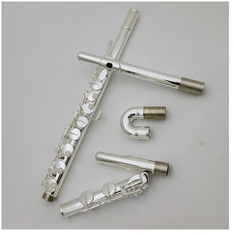 Professionelle Querflöte Altflöte, 16 Tasten, Geschlossenes Loch, G-Ton-Flöte, Versilbertes Tastenflöteninstrument Mit Koffer