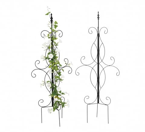 Relaxdays Rankhilfe, HxBxT: 116 x 45 x 45 cm, schwarz | Rankgitter für Kletterpflanzen, Metall, Garten, freistehend