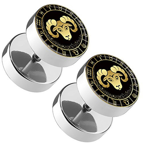 Piercingfaktor 1 Paar Fake Piercing Runde Ohrringe Ohrstecker Ohr Plug Flesh Tunnel mit Sternzeichen Motiv Tierkreiszeichen Widder