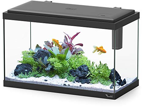 Aquatlantis Explorer Vienna Aquarium, Schwarz, 1er Pack (1 x 5050 g)