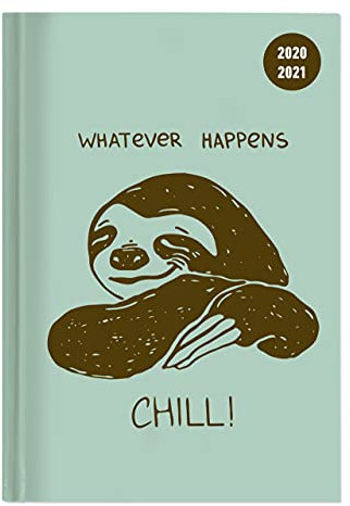 Collegetimer Chill! 2020/2021 - Schüler-Kalender A6 (10x15 cm) - Faultier - Day By Day - 352 Seiten - Terminplaner - Notizbuch - Alpha Edition: ... By Day - Notizbuch (Collegetimer A6 Daily)