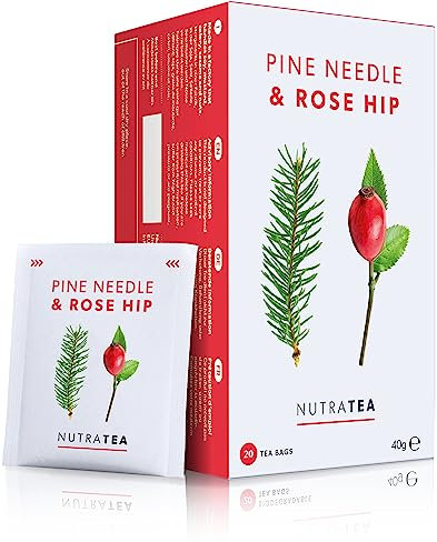 Nutra Tea Hagebutten & Kiefernnadeln Tee - Hagebuttentee zur Unterstützung des Immunsystem & Zellschutz - 120 Verpackte, Wiederverwendbare Teebeutel - Kräutertee - (6 Packung)