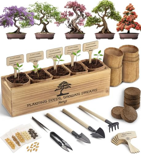 Avergo - Kit de árbol bonsái – 5 árboles de bonzai japoneses únicos | Kit completo de inicio para el cultivo de plantas de bonsái con herramientas y macetas, regalos de jardinería para mujeres y