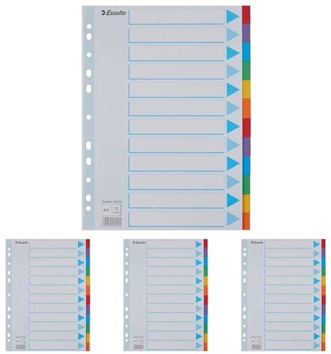 Leitz Esselte Register für A4, Deckblatt und 12 Trennblätter mit Taben, Blau/Mehrfarbig, Recyclingkarton, 100194 (Packung mit 4)