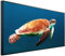 Ecowelle Infrarotheizung mit Bild | 750 Watt | 60x120 cm | Infrarot Heizung| | Made in Germany| b 100 Schildkröte
