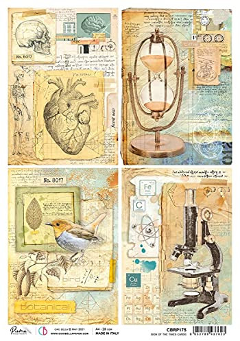 Ciao Bella Rice Paper, Cards, Sign of The Times, one Size