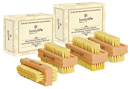 Bodylife Wooden Nail Brush Beechwood With Natural Cactus Tampico Bristles Four Pack