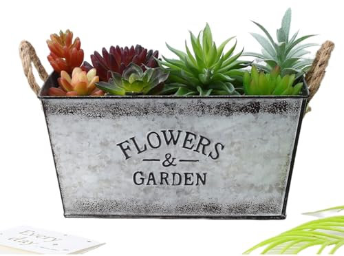 LOJAX Maceta de Hierro Vintage con asa – Macetas de Metal rústico, macetas Decorativas para Interiores y Exteriores(Big)