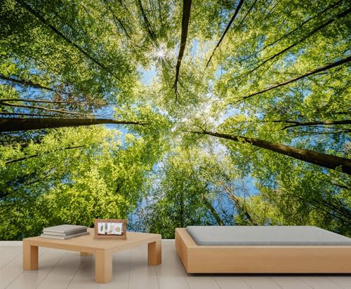 Papier Peint Forêt Soleil Vert Forêt Papier Peint Peintures Murales pour Murs Arbre Salle à Manger Papiers Peints Nature Paysage Chambre Papier Peint pour Salon 500X300cm