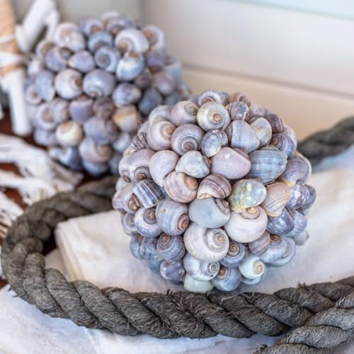 Dekokugel Seeschnecken Muschelkugel Naturdeko maritim Ø19cm Sommerdeko