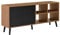 [en.casa] Comò con 2 Ante e 4 Scomparti Aperti (AxLaxP) 53x120x30 cm Apertura Push-to-Open, Piedini in Legno - Mobiletto Multiuso per Camera/Ufficio - Mobile Porta TV, Supporto Fino a 20 kg