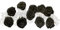 Schwarz Rosen Blumen Haarclip Haarspange, Rosen Haarklammer, 10 Pcs Brauthaarschmuck für Frauen Mädchen