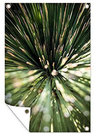 MuchoWow Outdoor-Poster Poster Wanddeko draußen Deko Garten Gartenposter 40x60 cm Kaktus - Abstrakt - Pflanze
