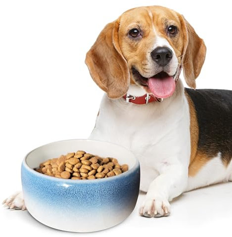 Byer of Maine Pet Bowl – High-Fired Porcelain Stoneware, Food-Grade Safe, Dishwasher Safe, Non-Slip Dog Bowl for Small Breeds in Best Friend Blue