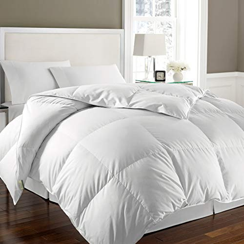 Blue Ridge Home Fashions White Goose Feather Down Comforter Queen Size - All Seasons Warmth 240 Thread Count Down Duvet Insert 100% Cotton Cover Peninsula Hotel Edition Hypoallergenic (88x88 )