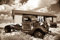 Papier Peint Photo INTISSÉ-ROUTE 66-350x260 cm-(925AE)-Vieille Ville Voiture Vintage Voitures Moto Noir Blanc Colle Inclus Mural Décor Motif Poster Géant Stickers Muraux Optique Moderne Fond Effet