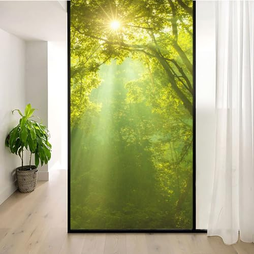 Statische Haftfolie für Fenster Sichtschutz Wärmekontrolle Anti-UV-Blockierung Fensteraufkleber Natürliche Landschaft-Wald 3 Dekorative Milchglasfolie B31,5 x H49,2 (80x125cm)