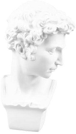 TOPBATHY Bücherregal Statue David Portrait Skulptur Gips Statue David Statue Göttin Skulptur tischstatue griechische deko nordisch Kunsthandwerk Figur schmücken Büste Weiß