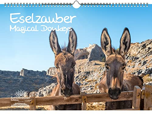 Eselzauber Immerwährender Kalender DIN A3 Esel - Seelenzauber