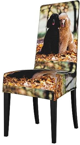 KemEng Zwei königliche Pudel Herbst, Stuhlhussen, Sitzschutz, Stretch-Esszimmerstuhl-Schonbezug, Sitzbezug für Stühle