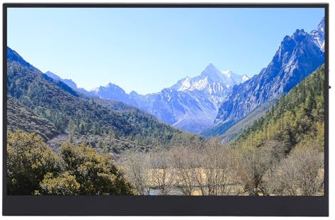 Laptop Screen Extender, 12 Inch LCD 1920x1200 185PPI Laptop Monitor Extender with USB C HD Multimedia Interface for Android, OS X, Built In Speaker