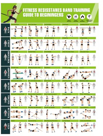 Trainingsposter | Planer Widerstandsbänder Fitness-Zubehör, Poster für Heim-Fitnessstudio - für Muskelaufbau Körperformung Yoga Training