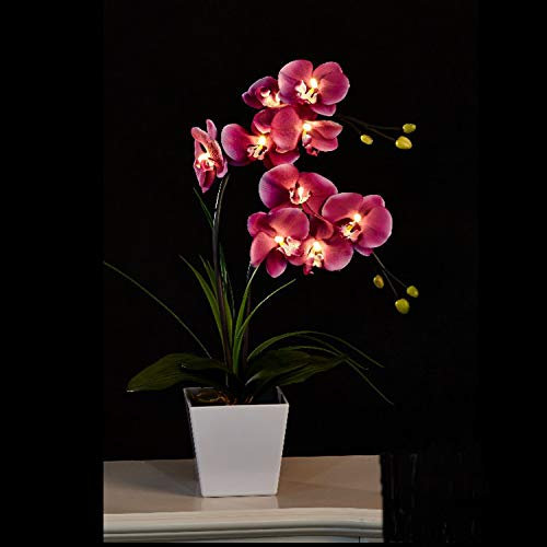 Floristlighting LED Lighted Artificial Orchid Arrangement-Battery Operated Orchid Pot with 9 Lights (Purple)