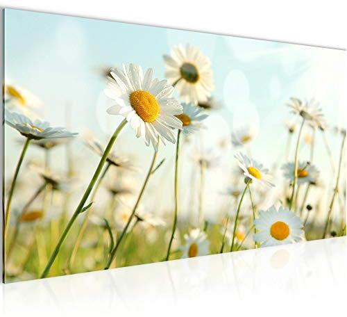 Runa Art Wandbild Kamille Blumen 1 Teilig 100 x 40 cm Modern Bild auf Vlies Leinwand Blumenwiese Wohnzimmer Grün Weiss 025812a