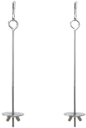 JTKREW 2 Pièces Brochettes d'oiseaux en Acier Inoxydable pour Support de Nourriture,Mangeoire et Porte,Fruits pour Perroquets