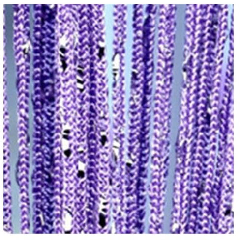 LSYHHXC Perlenvorhang Kristallvorhang Flash Line Glänzend Quaste String Türvorhang Fenster Raumteiler Home Decoration 641(Color:Purple)